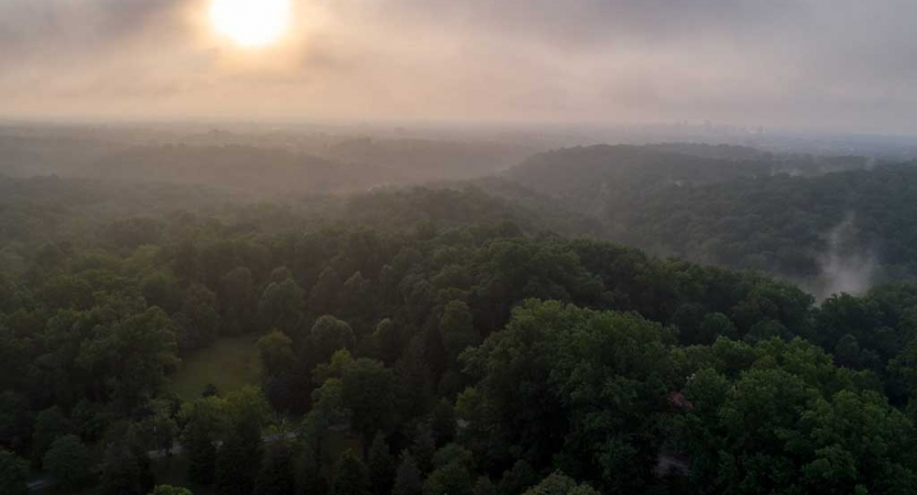 The sun appears low in the sky through fog above a vast forested area. 